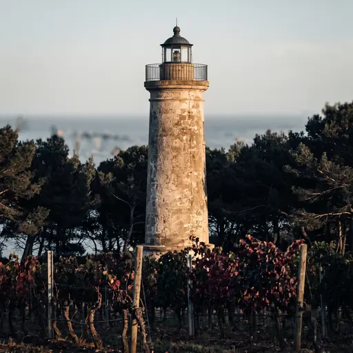 Tenuta Faro Antico